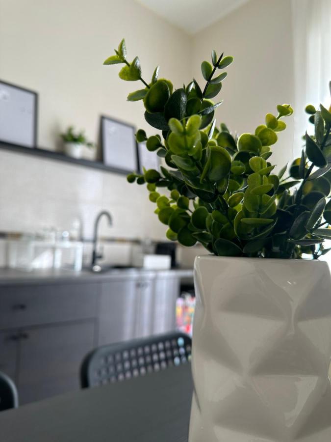 Diverso Apartment Caiazzo Eksteriør bilde
